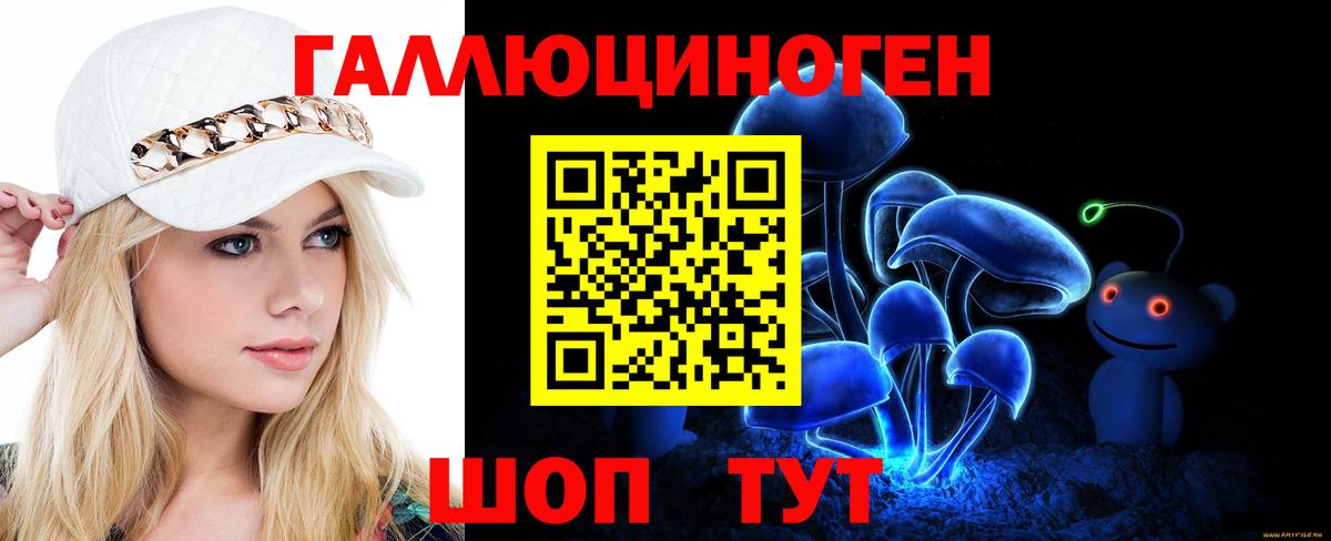 Псилоцибиновые грибы Psilocybe  Вход с VPN  Вольск 